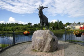 Прекрасные фото