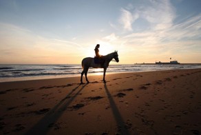 Печальная концовка безобидного развлечения (2 фото)