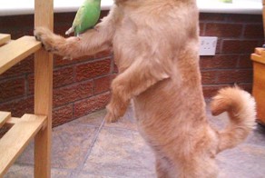 Бесплатный фотоприкол