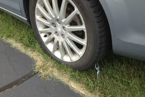 Фотоприкол