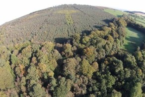 В ирландском лесу обнаружили огромный кельтский крест, сделанный из крон деревьев