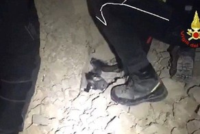 Чудесное спасение собаки из-под завалов в Италии