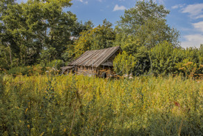 Как мы искали дачу. Миссия невыполнима
