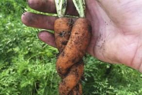 Новый фотоприкол