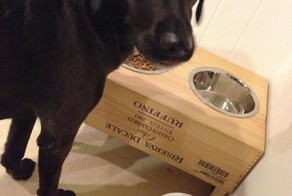 Юмор прикол