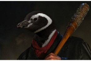 Пингвин вернулся домой после тяжелого дня и обнаружил свою самку с другим!