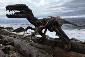 Фотоподборка за 07.11.2016