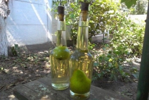 Груши в бутылках (9 фото)