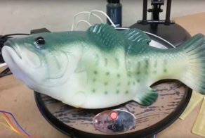 Мужчина подключил голосового помощника к поющей резиновой рыбе. Результат впечатляет!