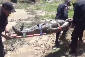 «Мальчишник в Вегасе» по-перуански: труп в трясине шокировал туристов и местных жителей своим пробуждением