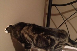 Прикол картинка