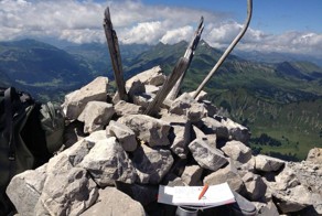 Бесплатно фото