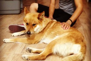 Бугагашеньки