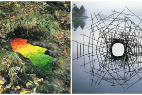 Эти неотфотошопленные фотографии природы вас поразят!