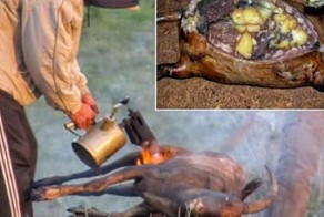 15 самых отвратительных блюд в меню человечества