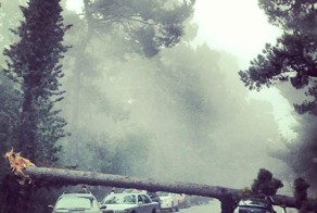 Смешные рисунки