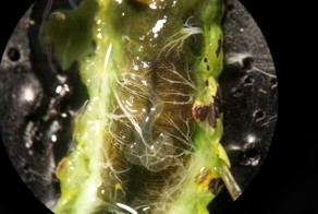 Прикольные фото и картинки от zubrilov за 16.08.2013 №213142