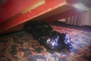 Постояльцы отеля в Мехико неделю жили в номере с трупом под кроватью