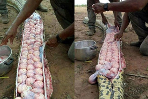 Африканцы без суда и следствия вскрыли беременную гигантскую змею