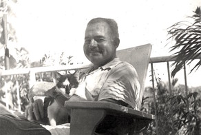 Кошачий рай нобелевского лауреата