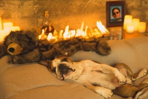 Фотоподборка за 14.11.2016