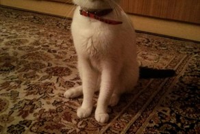 Прикол картинка