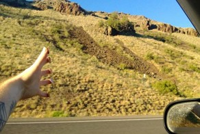 Фотоприкол недели