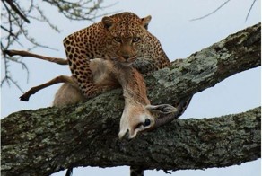 Фотоприкол бесплатно