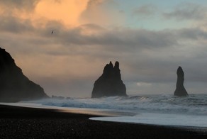 Фотоподборка за 15.11.2016