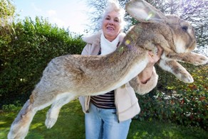 15 аномально крупных животных, которые на самом деле существуют