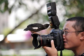 Свежий фотоприкол