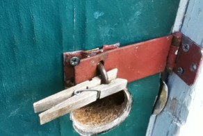 Зачетное фото