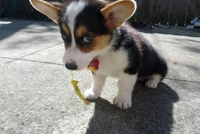 Фотоприкол бесплатно