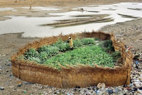 Бесплатный фотоприкол