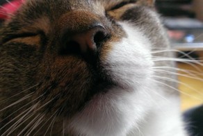 Зачетное фото