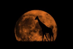 Фотоподборка за 16.11.2016