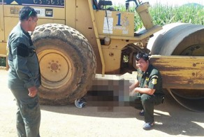 Смерть под дорожным катком