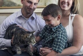 Героические кошки