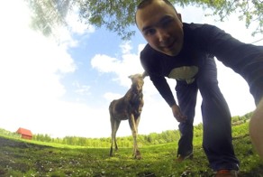 Парень спас маленькую лосиху, и теперь она приходит к нему из леса каждый день