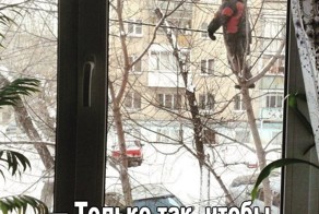 Смешные картинки с надписями