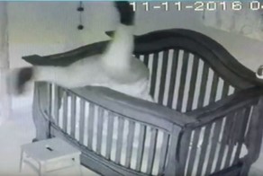 Неуклюжая бабушка упала в кроватку малыша