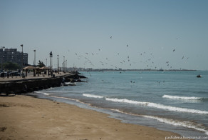 Иран: мочим ноги в Персидском заливе в Бушире