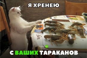 30 позитивных картинок, которые скрасят ваш рабочий день