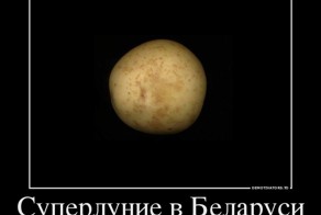 Прикольные картинки для хорошего настроения