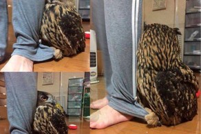 Картинки с надписями