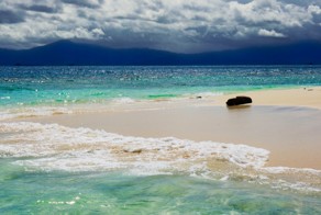 Фотоподборка за 24.11.2016