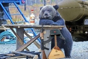 Наш народ не пропадет! Отношение к медведям в США и России