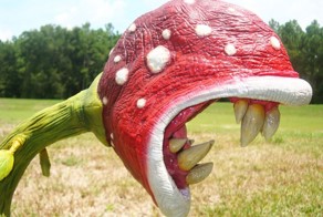 5 растений, которые поражают воображение