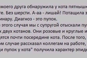 Не много баянов