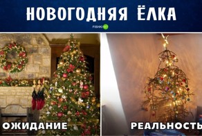Размечтался! Новогодние ожидания и реальность